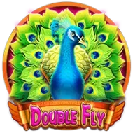 Double FlyCQ9