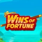 Wins of Fortune screenshot